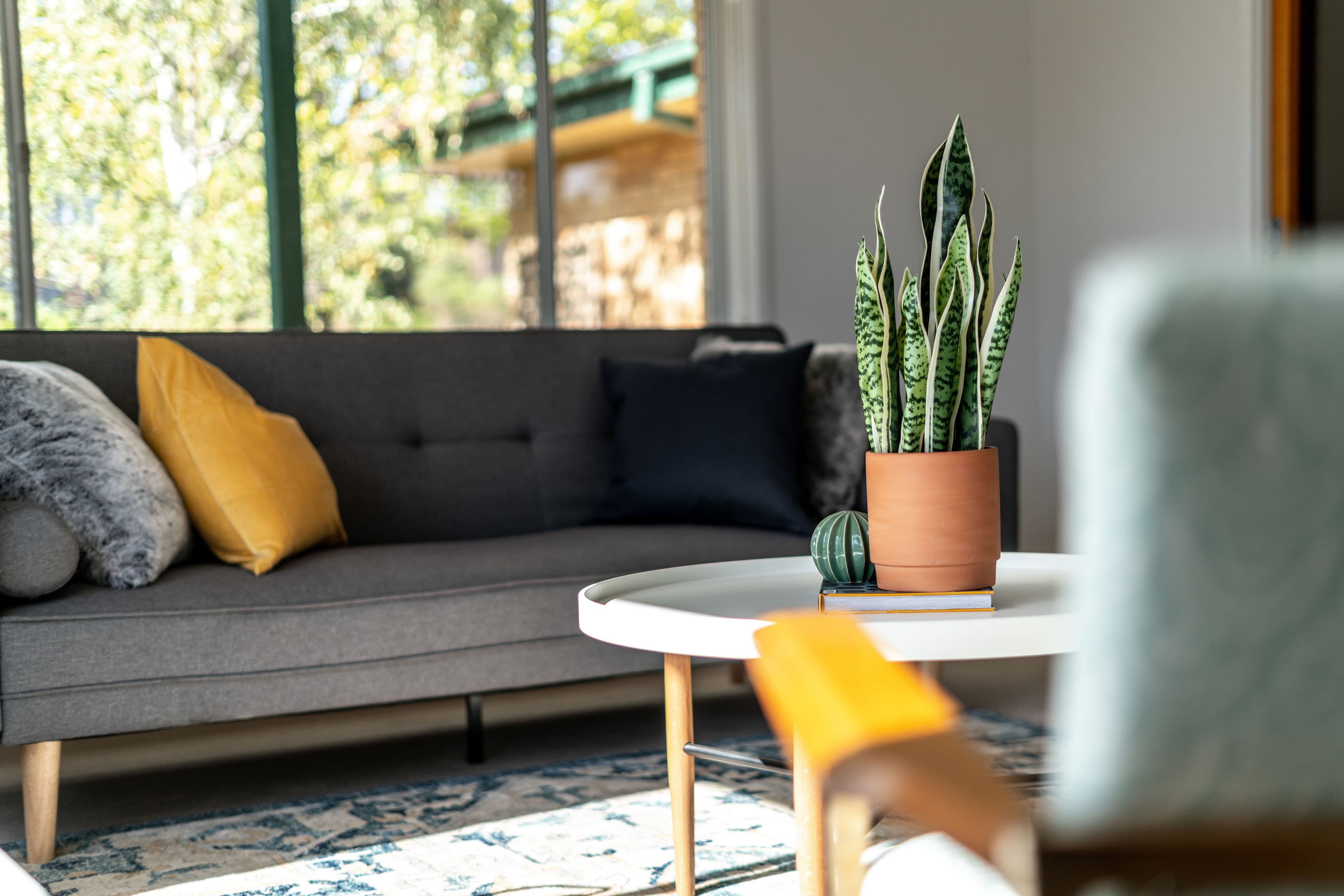 10 Alfred Hill Drive, Melba ACT 2615, Melba - Thumbnail 3