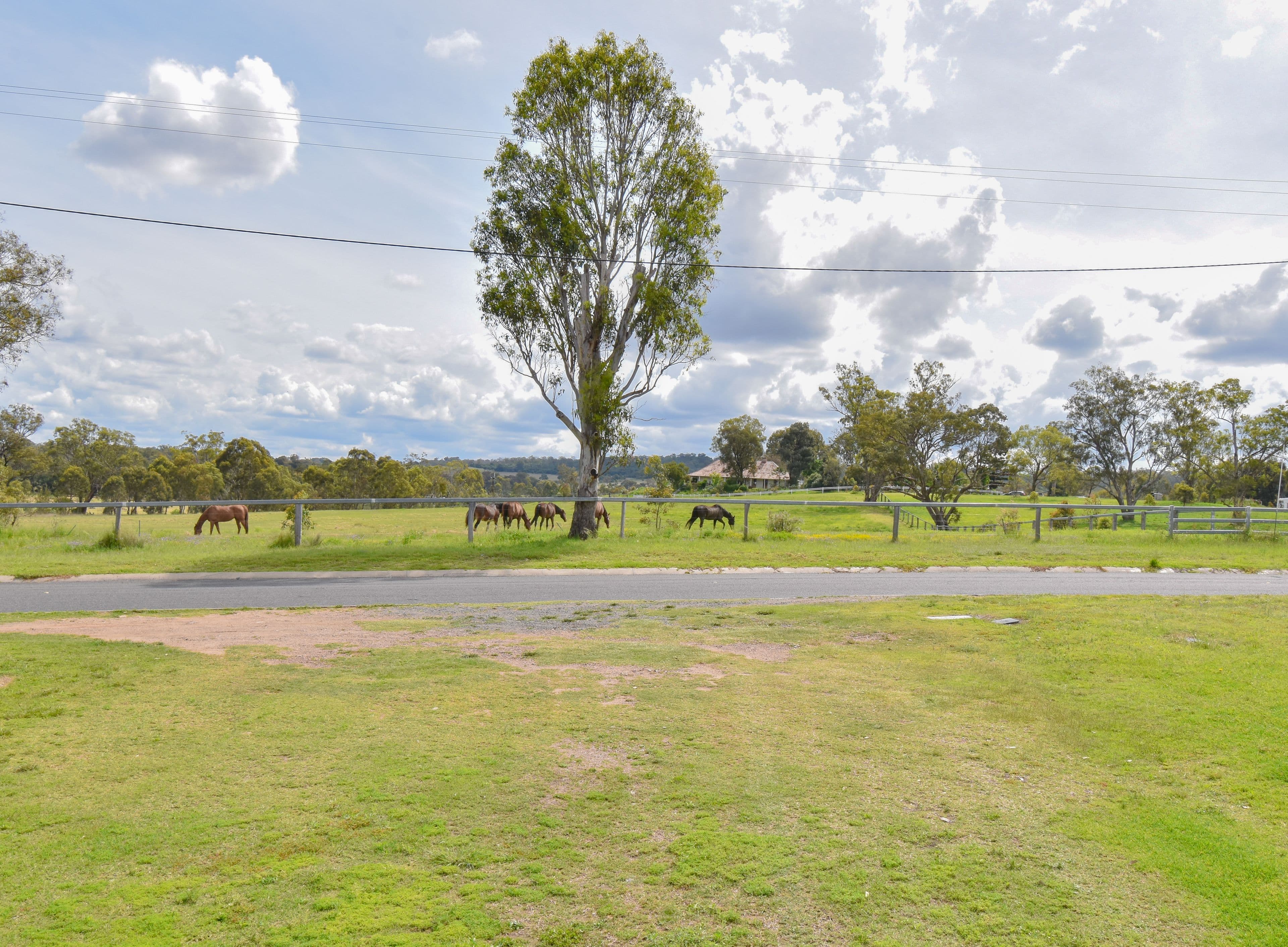 48 Homestead Road, Rosenthal Heights QLD 4370, Rosenthal Heights - Thumbnail 3