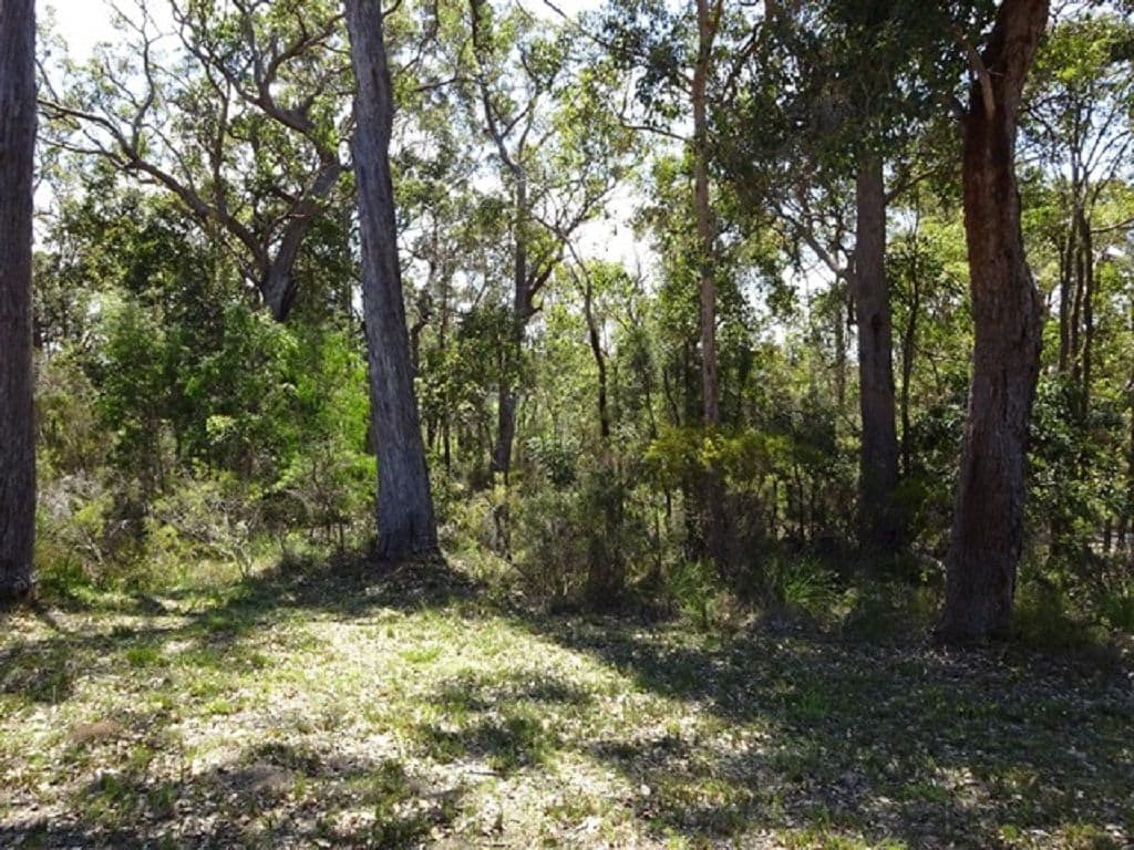 10 Coughlan Grove, Denmark WA 6333, Denmark - Thumbnail 7