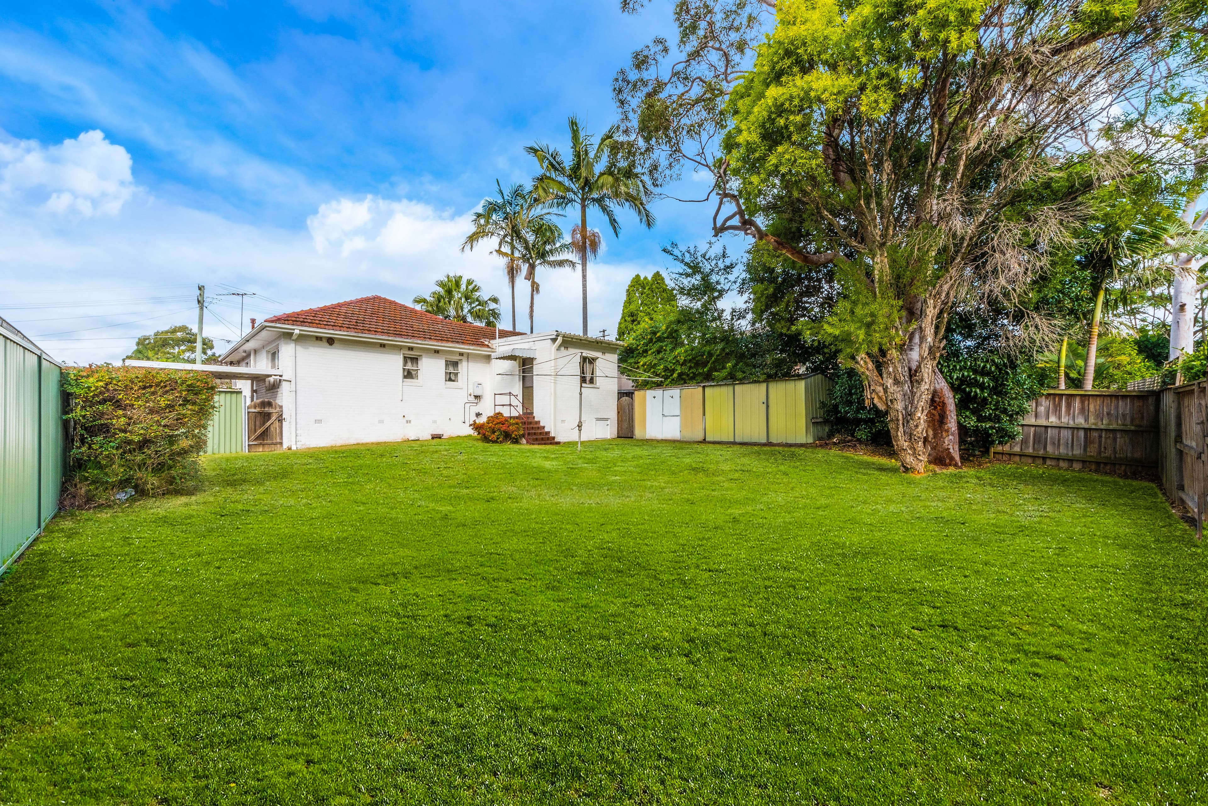 24 Swan Street, Gladesville - Thumbnail 4