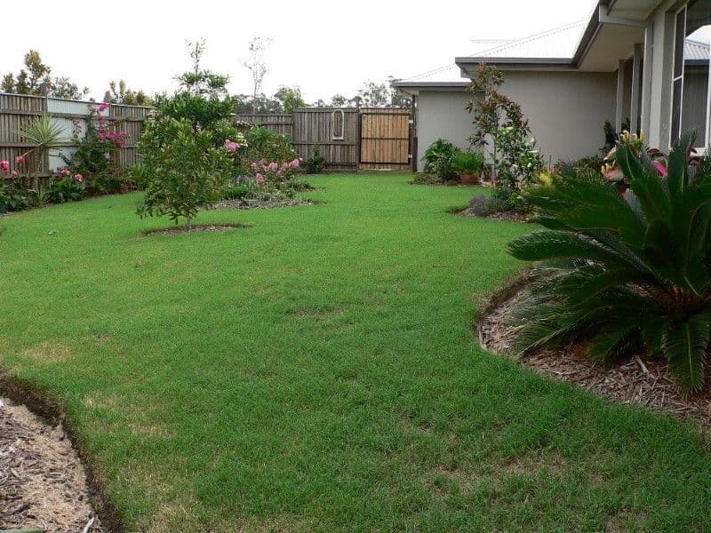 2 Carrieton Street, ORMEAU QLD 4208, Ormeau - Thumbnail 4