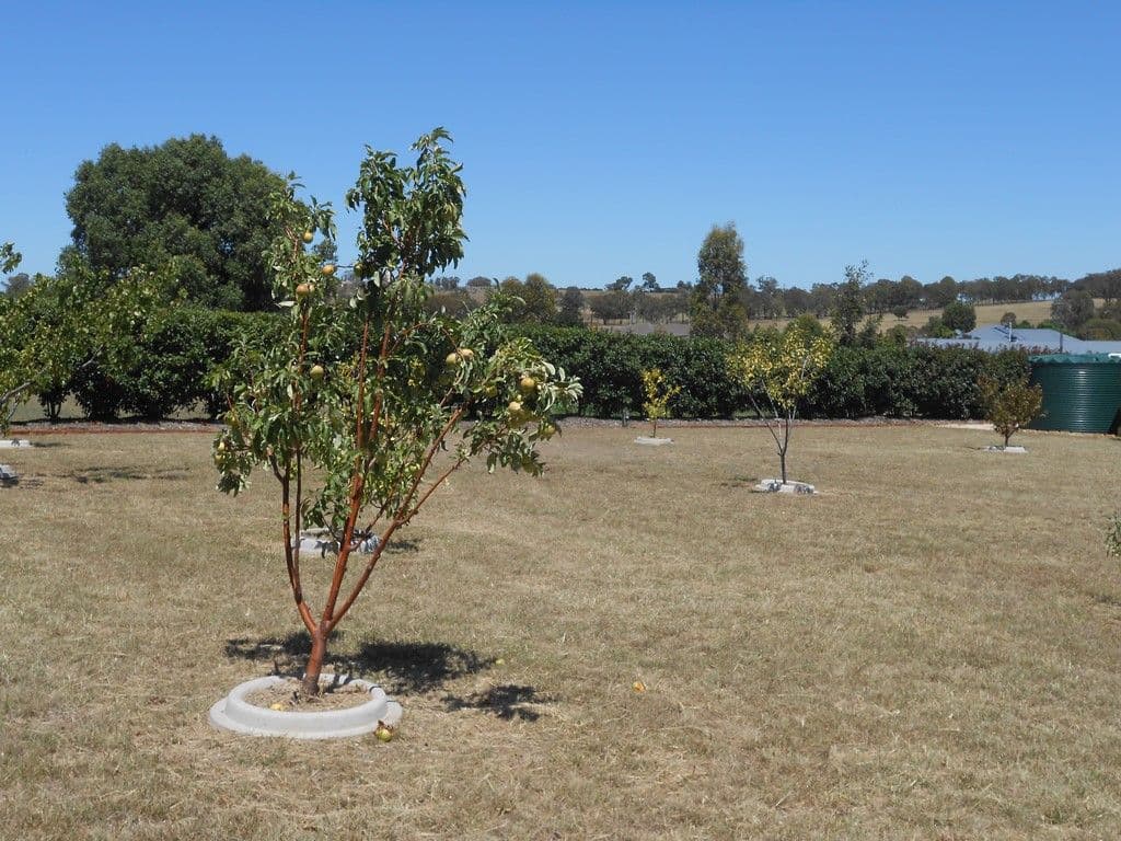 45 Browns Lane, Tamworth NSW 2340, Tamworth - Thumbnail 4