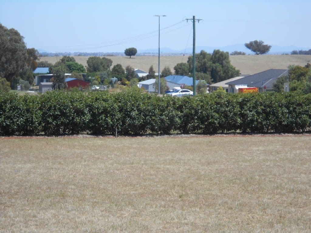 45 Browns Lane, Tamworth NSW 2340, Tamworth - Thumbnail 5