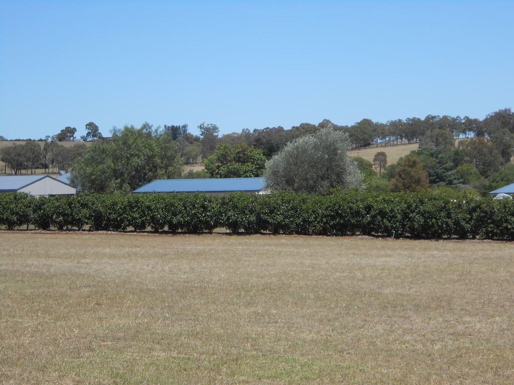 45 Browns Lane, Tamworth NSW 2340, Tamworth - Thumbnail 6