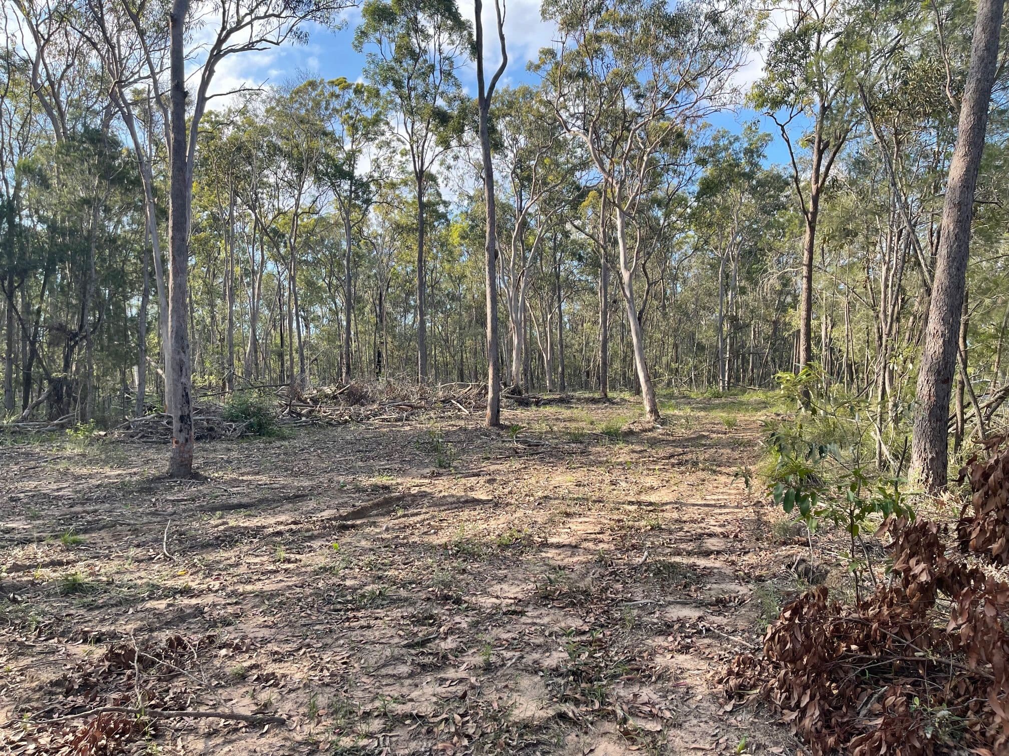 23-43 Backwater Road, Greenbank QLD 4124, Greenbank - Thumbnail 4