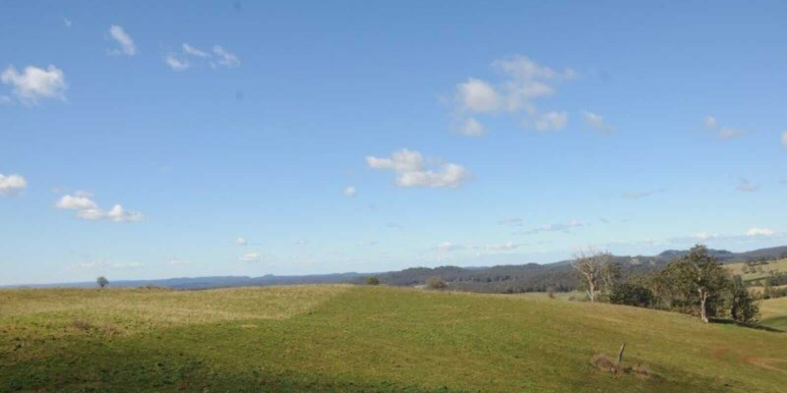 136 Sugarloaf Lane Kangaloon, Kangaloon - Thumbnail 4