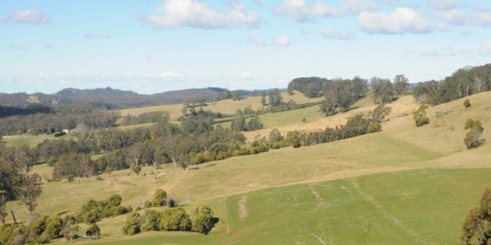 136 Sugarloaf Lane Kangaloon, Kangaloon - Thumbnail 5