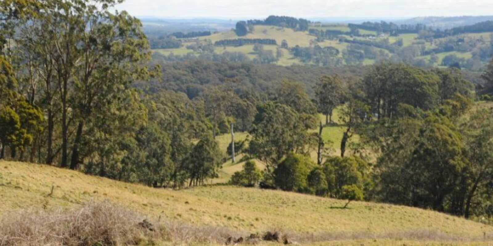 136 Sugarloaf Lane Kangaloon, Kangaloon - Thumbnail 8