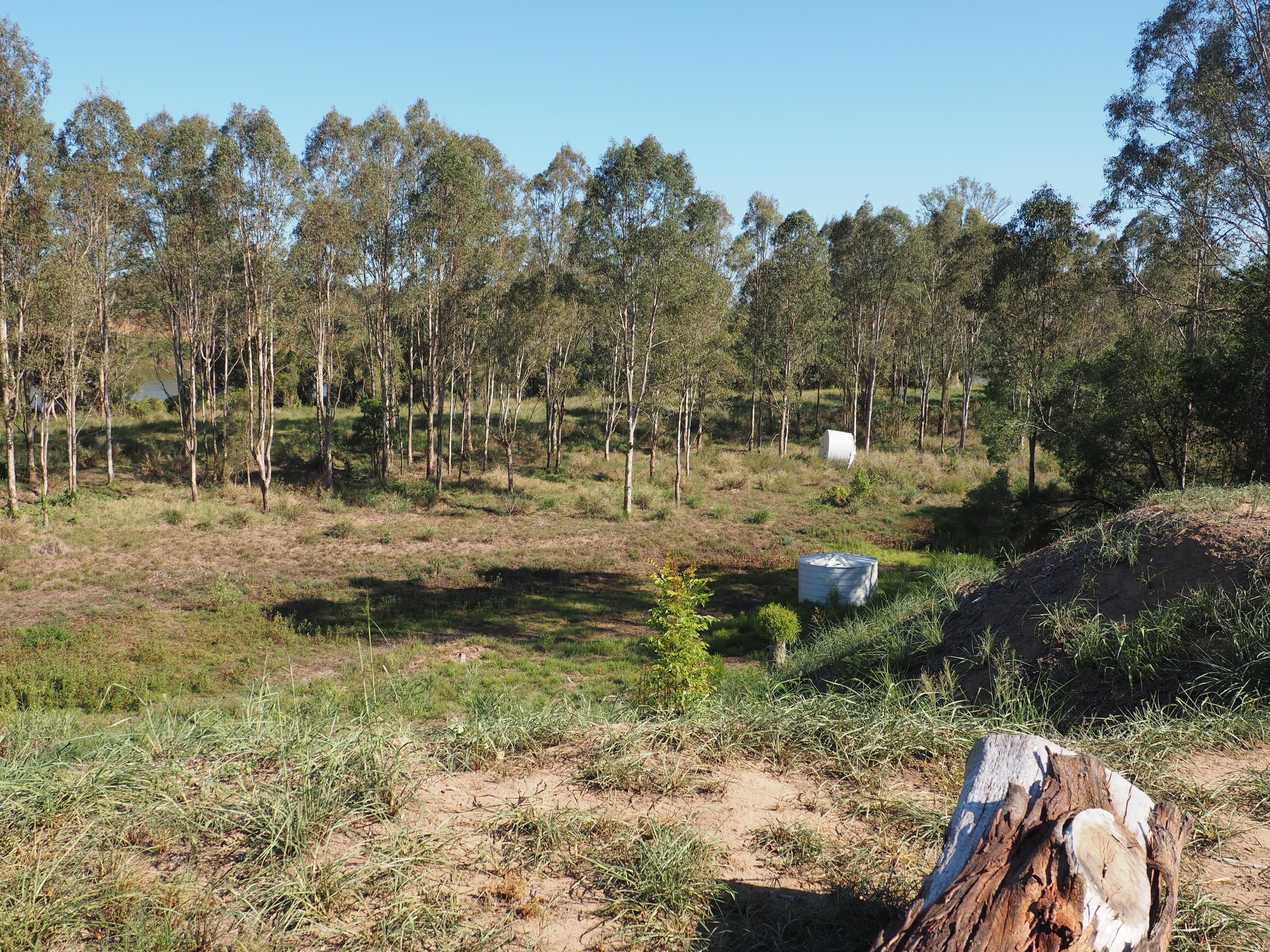 Lot 31 Bush Lemon Terrace, Yengarie QLD 4650, Yengarie - Thumbnail 6