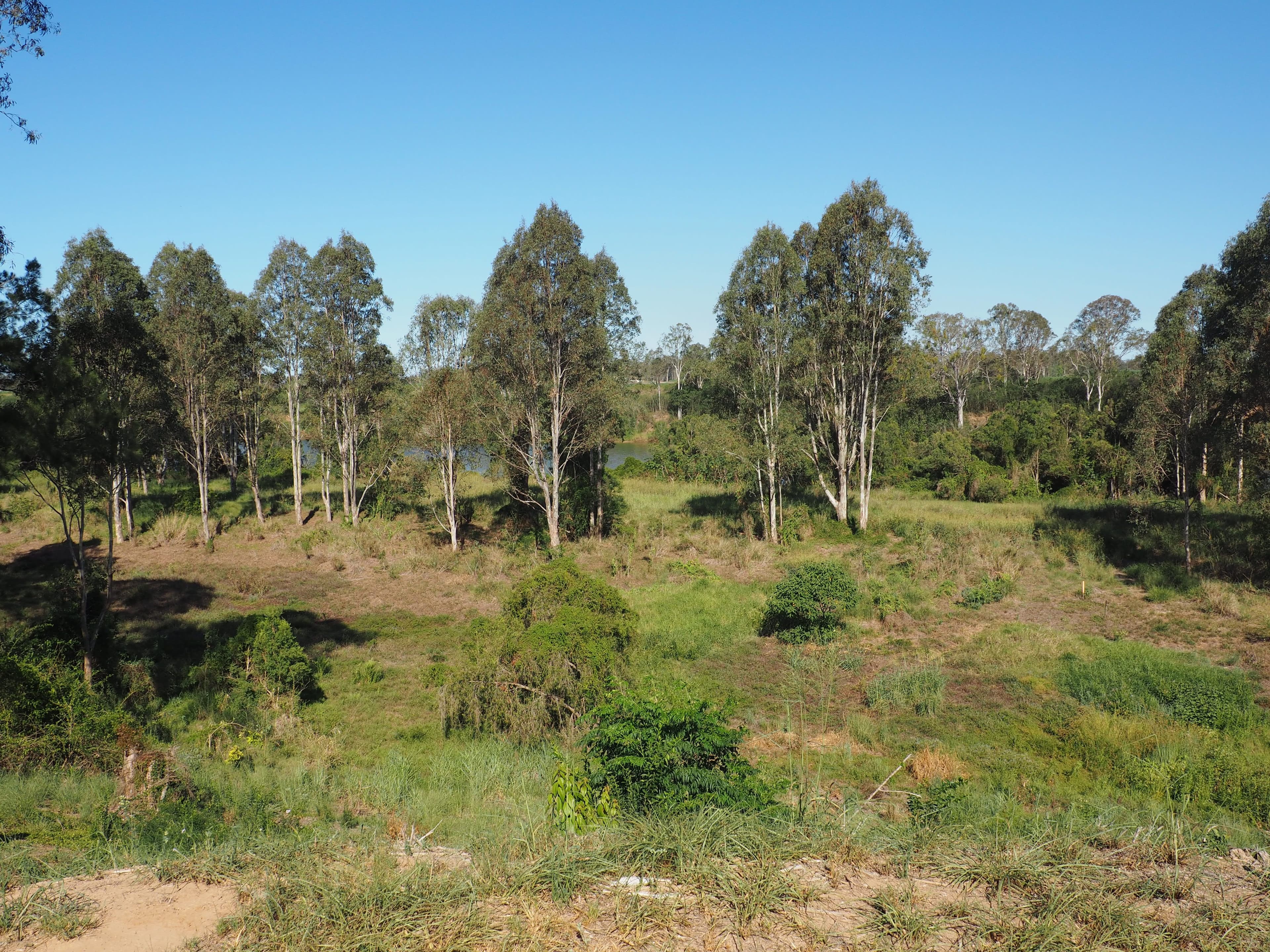 Lot 31 Bush Lemon Terrace, Yengarie QLD 4650, Yengarie - Thumbnail 7