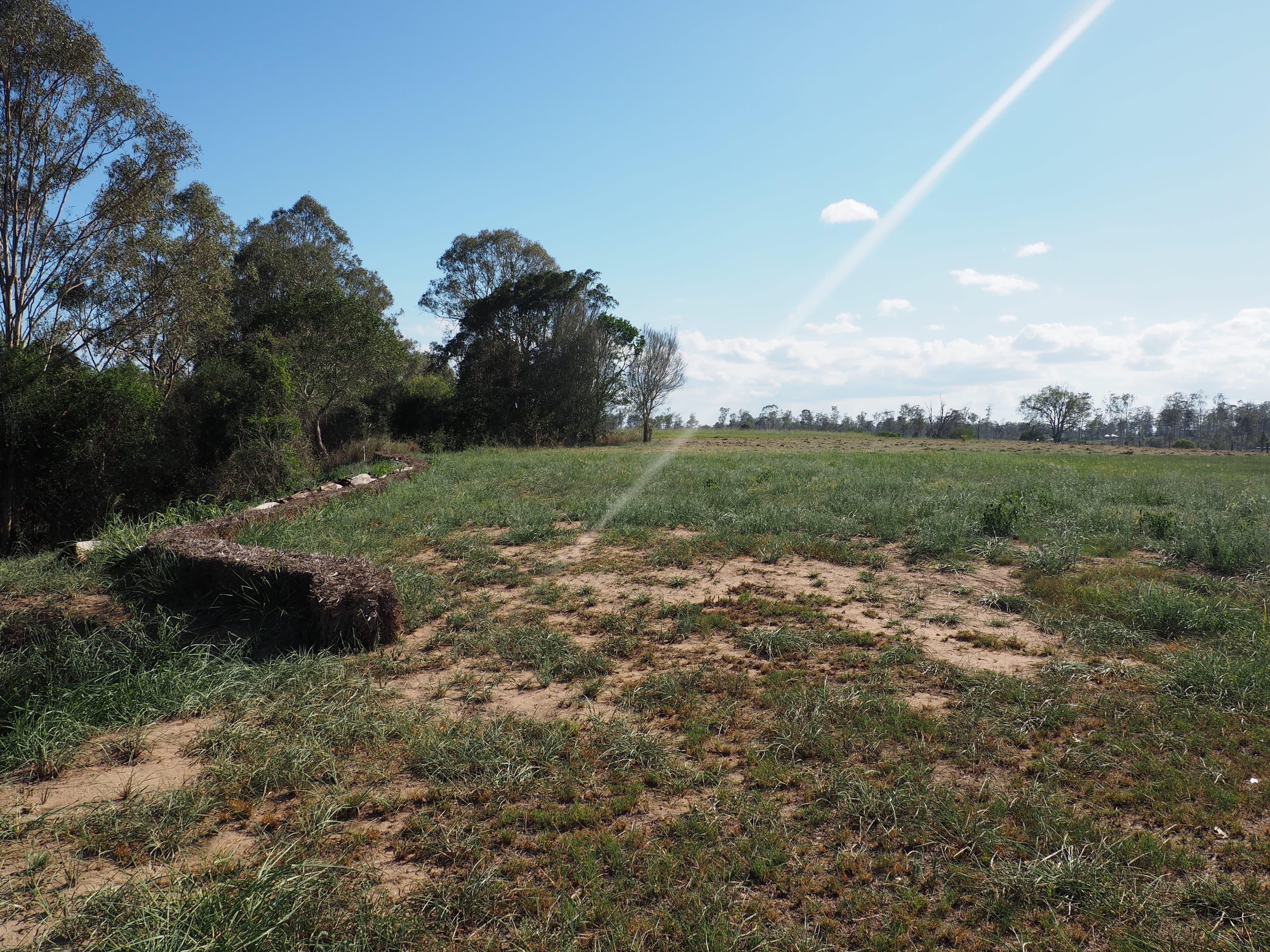 Lot 31 Bush Lemon Terrace, Yengarie QLD 4650, Yengarie - Thumbnail 8