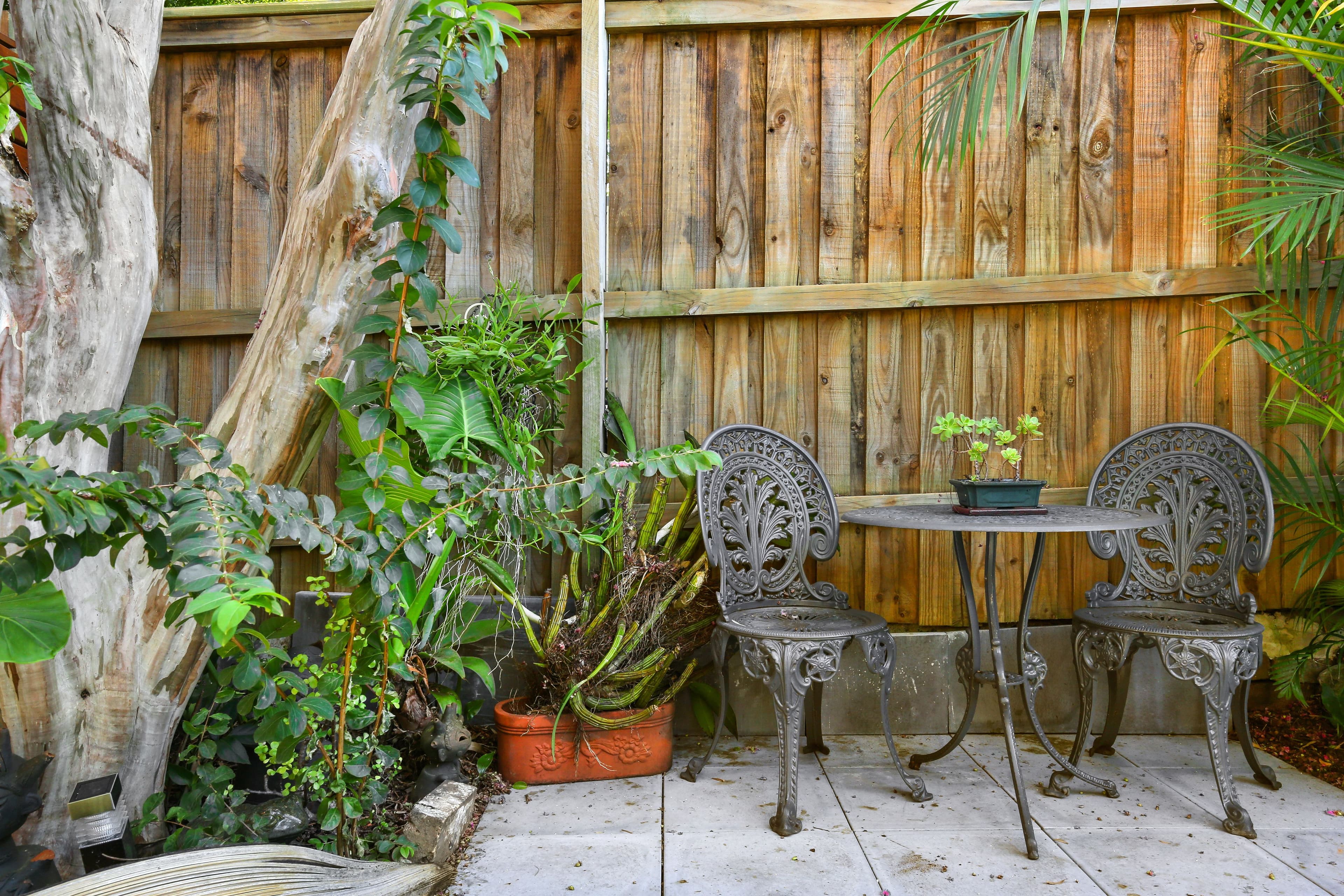 134 Gowrie Street, Newtown - Thumbnail 8