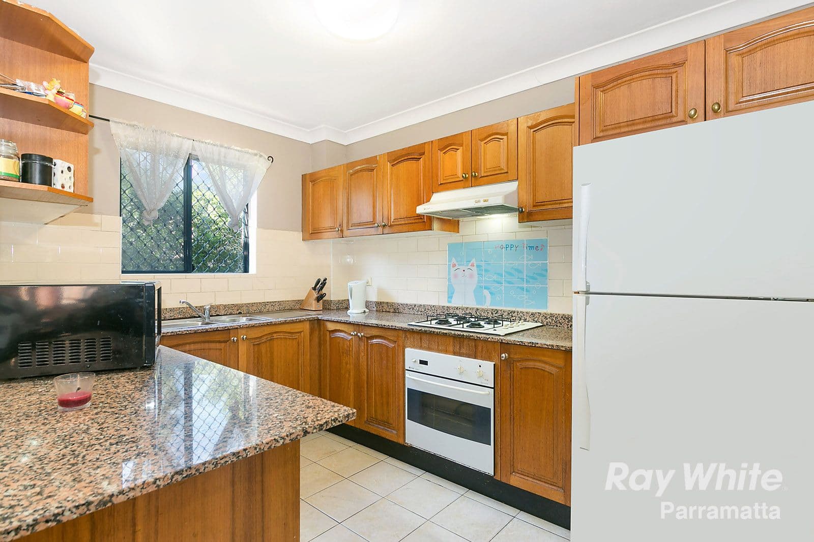 12 Hassall Street, Westmead NSW 2145, Westmead - Thumbnail 3