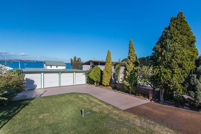 142 Ross Street, Belmont - Thumbnail 5
