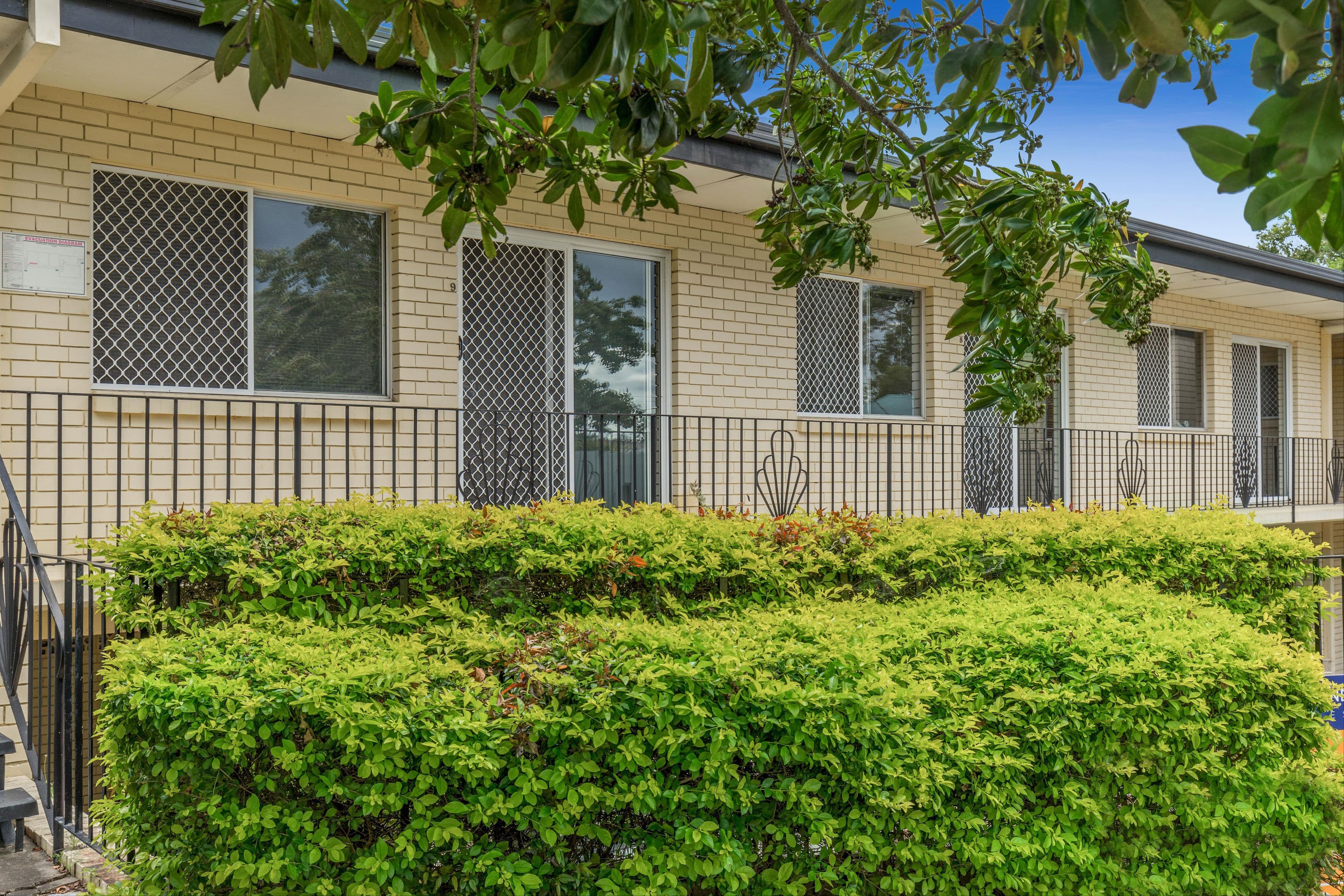 349 Riding Road, Balmoral QLD 4171, Balmoral - Thumbnail 5
