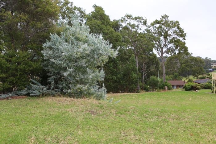 9 Woods Place, North Narooma NSW 2546, North Narooma - Thumbnail 2