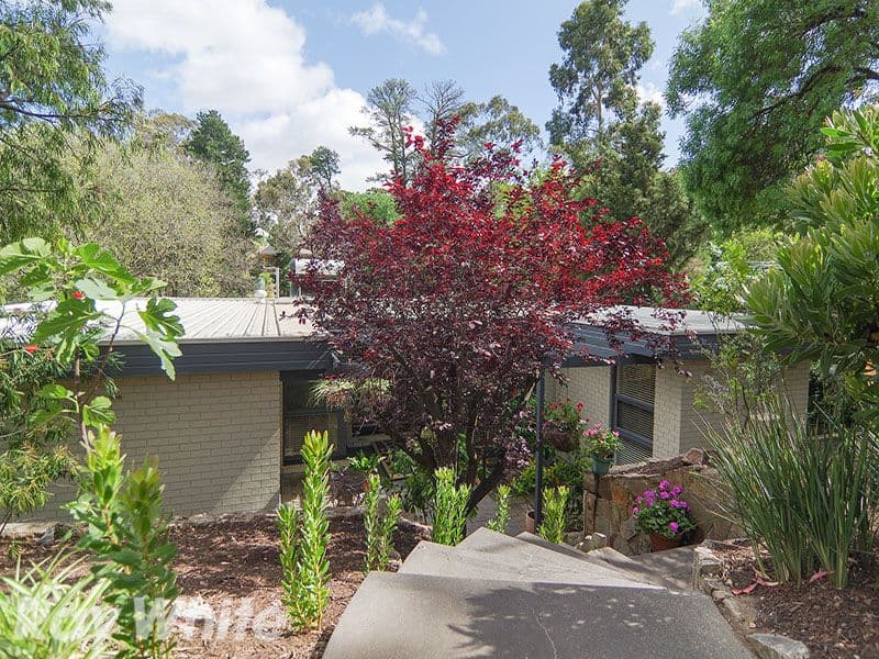 11 Douglas Street, EDEN HILLS SA 5050, Eden Hills - Thumbnail 8