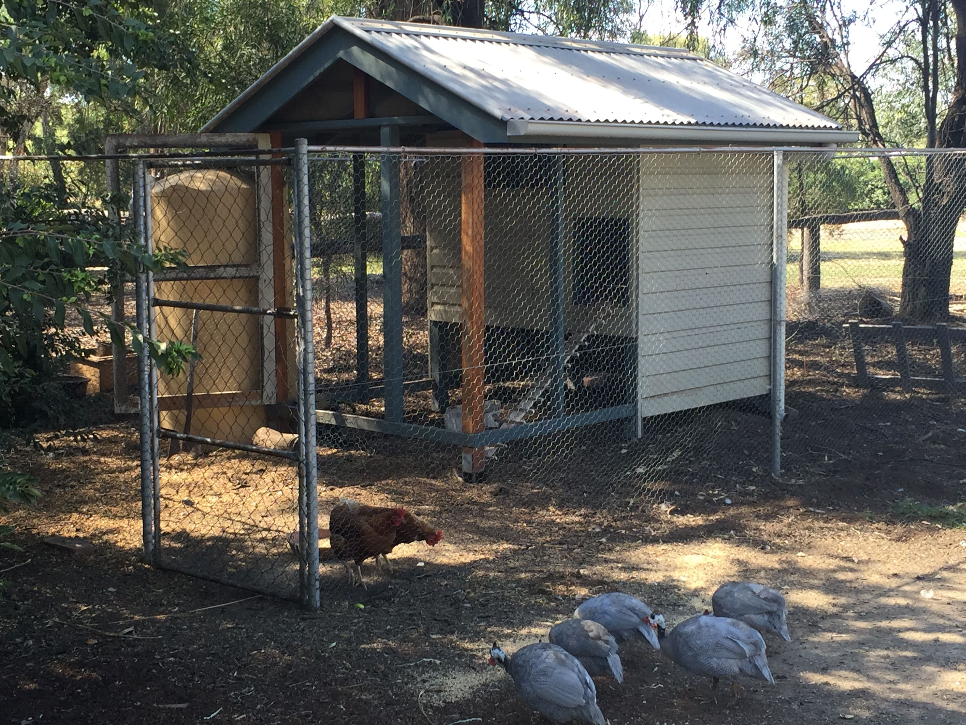 42 Oakhole, Goondiwindi QLD 4390, Goondiwindi - Thumbnail 8