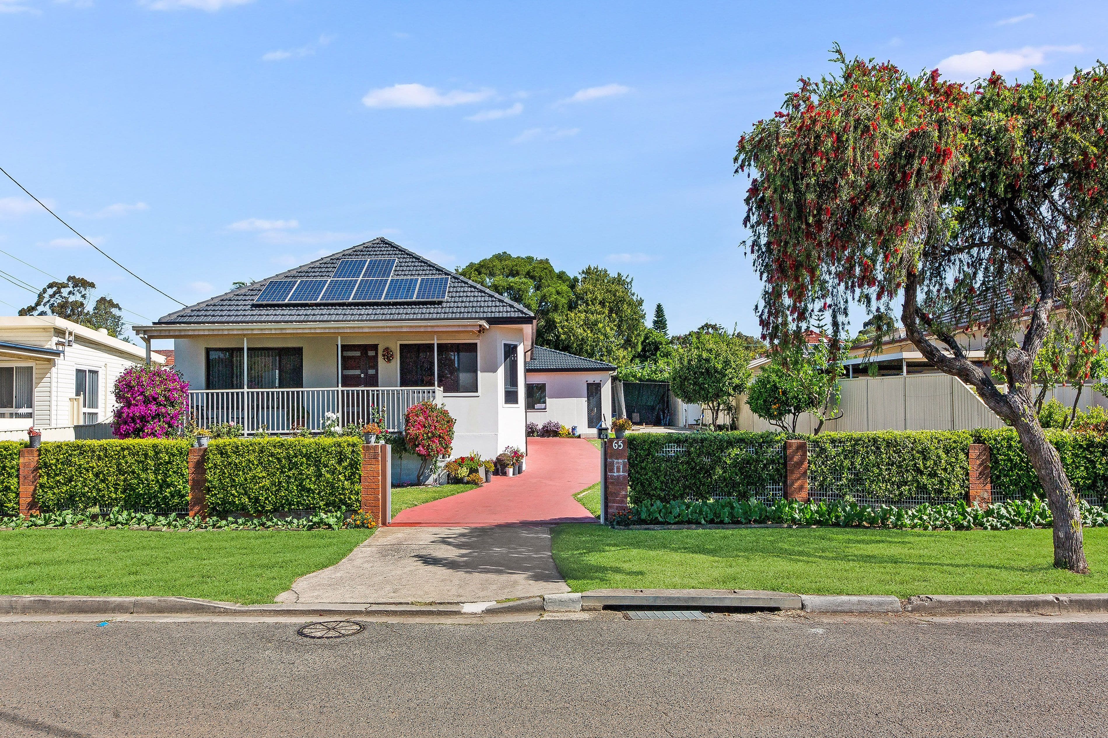 65 Esme Avenue, Chester Hill NSW 2162, Chester Hill - Image 1
