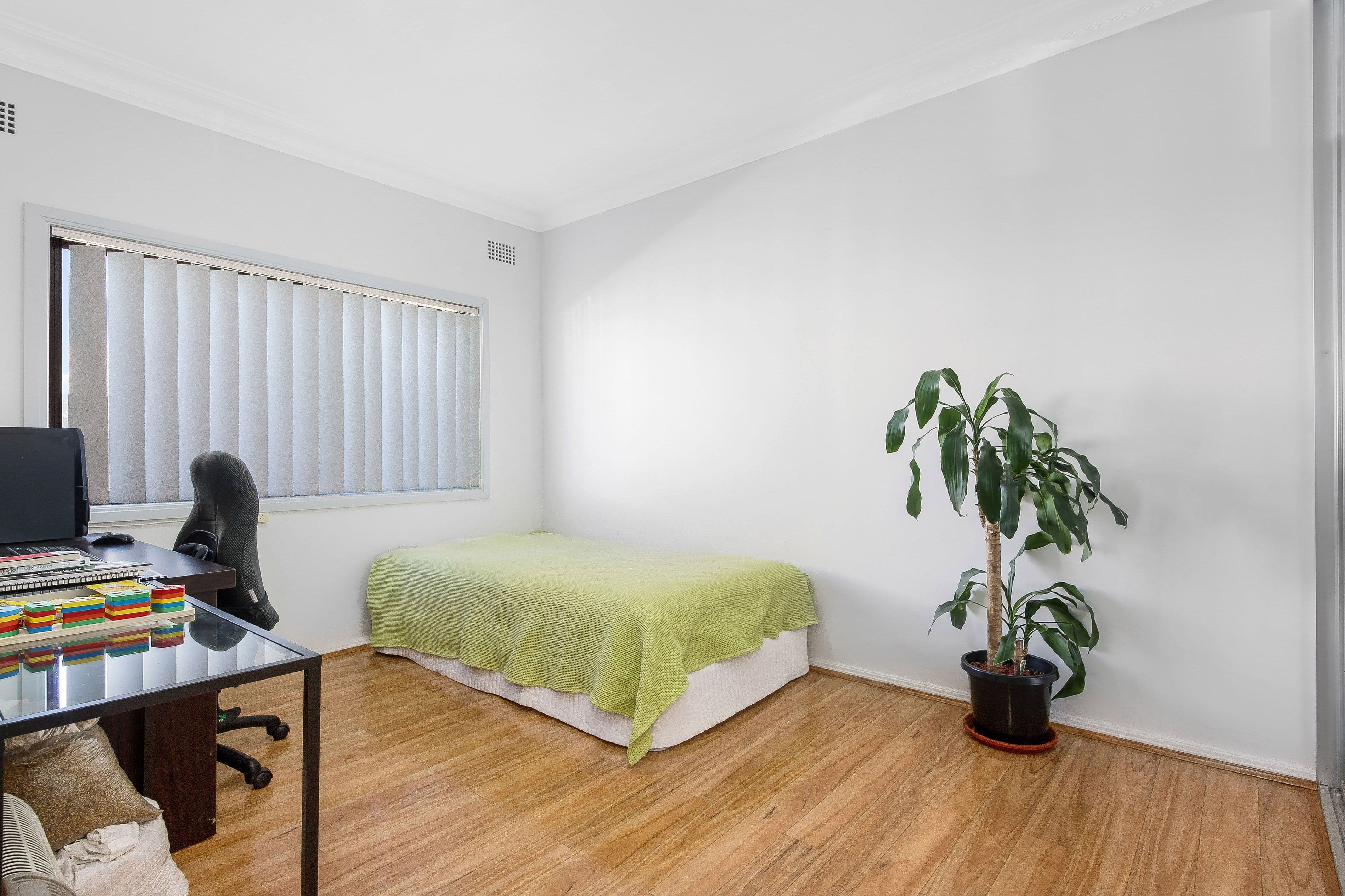 65 Esme Avenue, Chester Hill NSW 2162, Chester Hill - Thumbnail 8