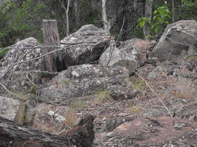 Lot 56 Forest Drive, BROOKLANDS QLD 4615, Brooklands - Thumbnail 7