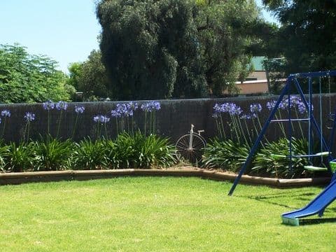 135 Anzac Street, TEMORA NSW 2666, Temora - Thumbnail 5