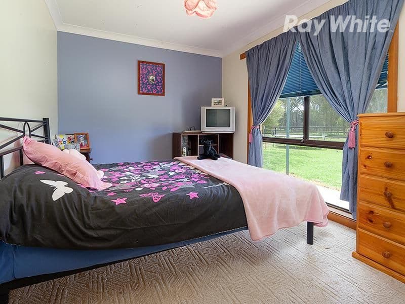 51 Molkentin Road, JINDERA NSW 2642, Jindera - Thumbnail 6