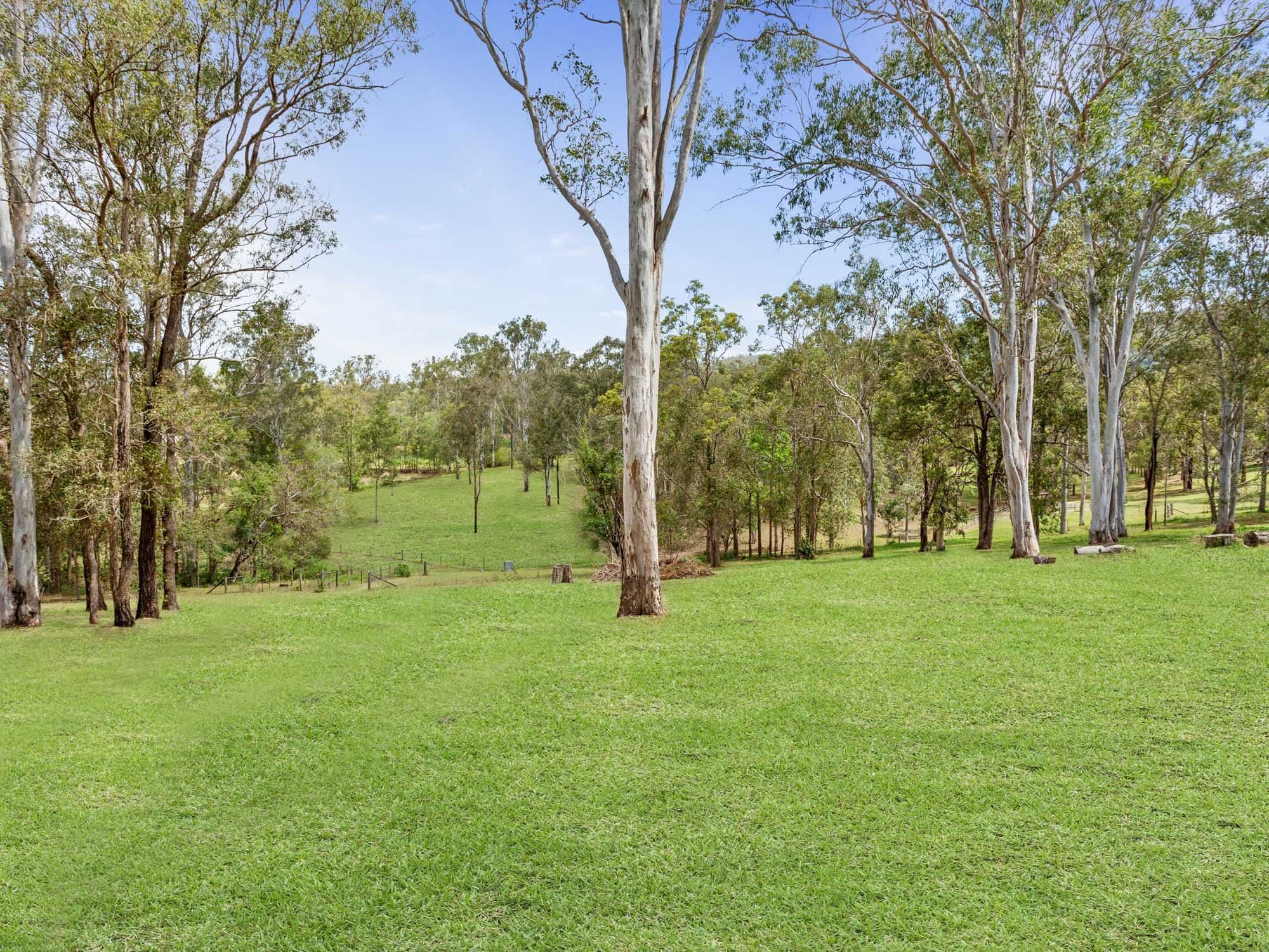 2 Messmate Court, Highvale QLD 4520, Highvale - Thumbnail 4