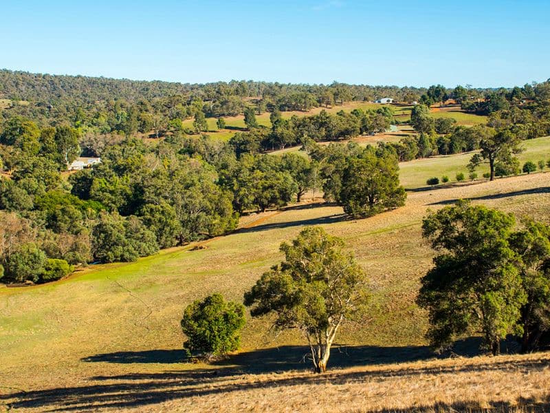 37 Chittering Valley Road, Lower Chittering WA 6084, Lower Chittering - Thumbnail 3