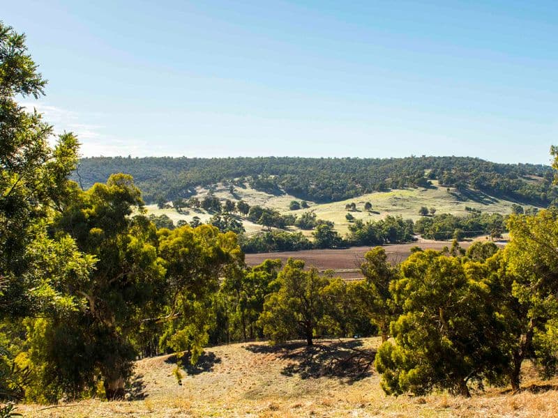 37 Chittering Valley Road, Lower Chittering WA 6084, Lower Chittering - Thumbnail 4