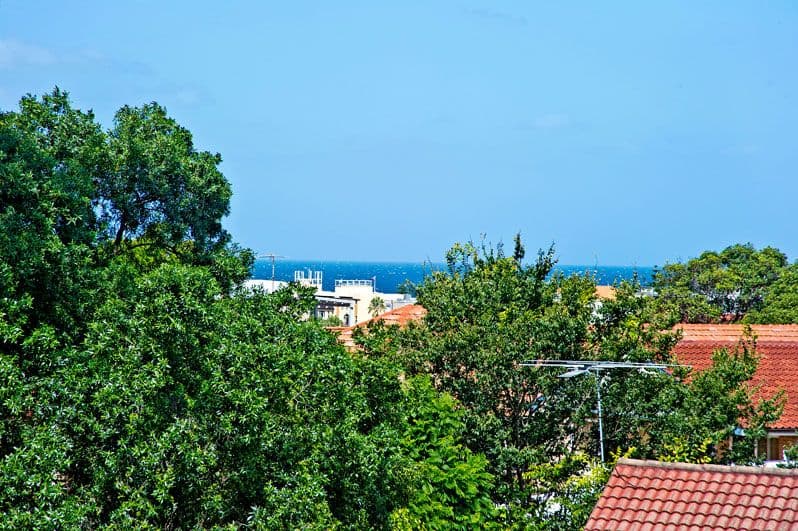 5 Abbott Street, Coogee NSW 2034, Coogee - Thumbnail 6