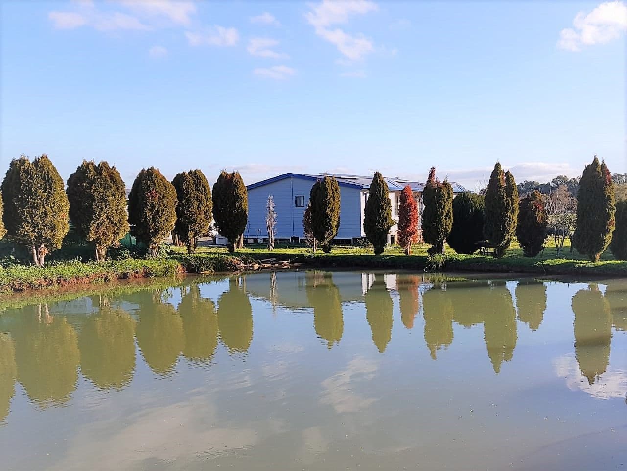 191 Graham Street, Lancaster VIC 3620, Lancaster - Thumbnail 2
