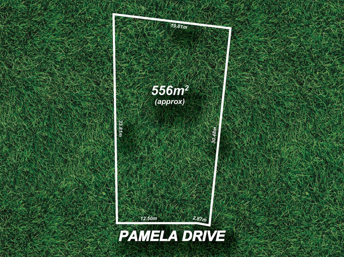 12 Pamela Drive, Para Hills SA 5096, Para Hills - Image 1