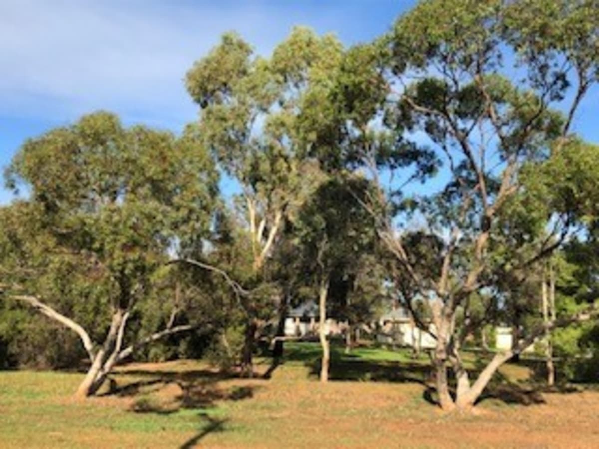 12 Pamela Drive, Para Hills SA 5096, Para Hills - Thumbnail 3