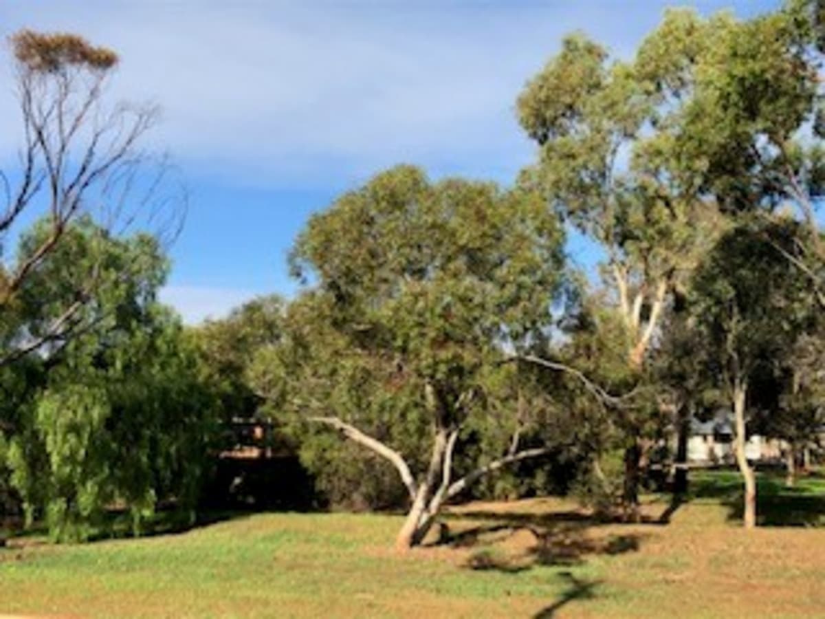 12 Pamela Drive, Para Hills SA 5096, Para Hills - Thumbnail 4