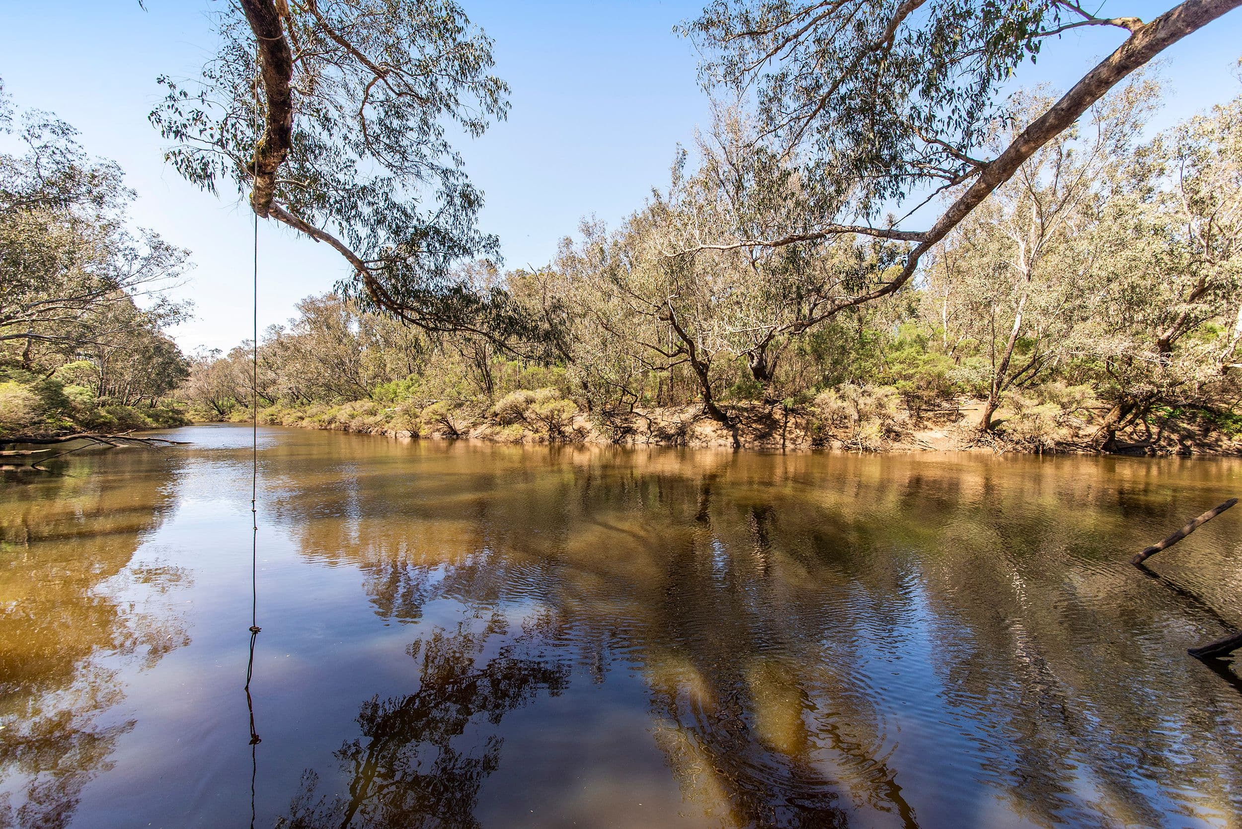 219 Leschenaultia Drive, Nannup WA 6275, Nannup - Thumbnail 3