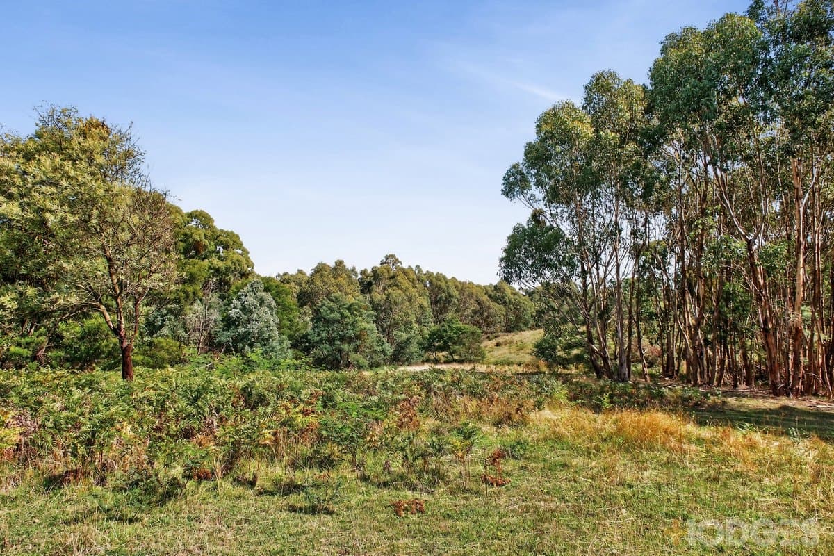 200 Broadford-Wandong Road, Wandong, VIC, 3758, Wandong - Thumbnail 3