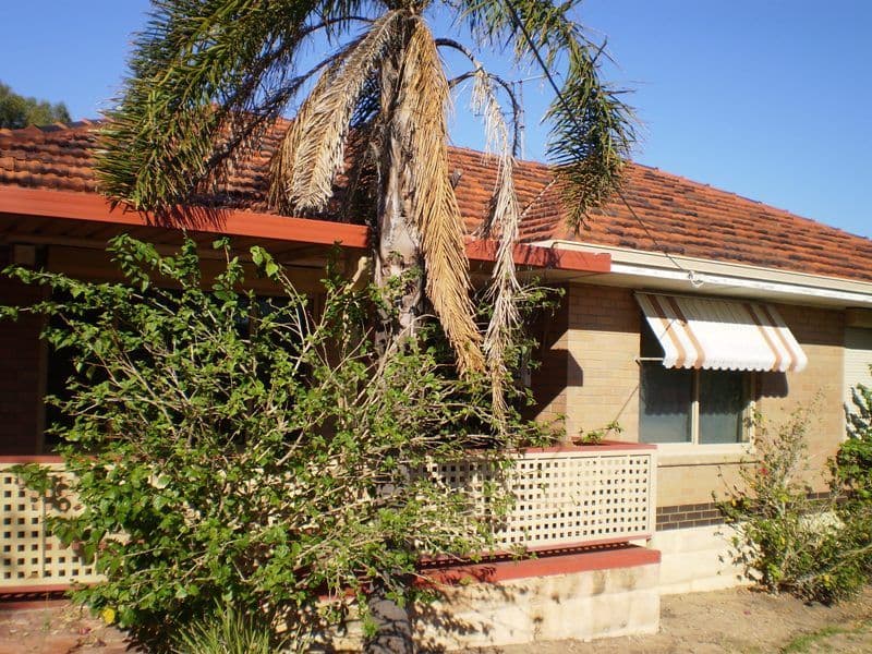 362 Carrington Street, HAMILTON HILL WA 6163, Hamilton Hill - Thumbnail 2