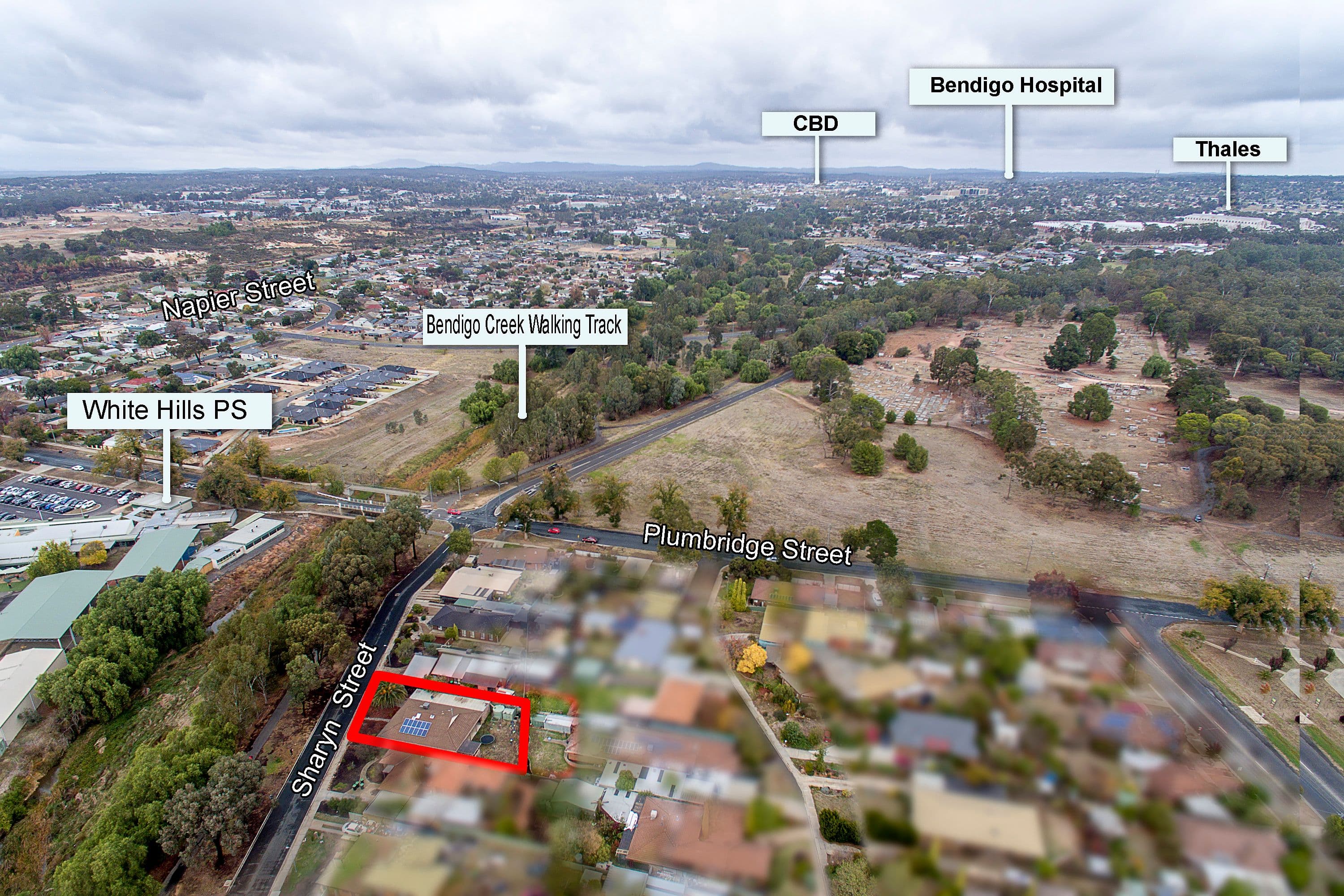 9 Sharyn Street, White Hills VIC 3550, White Hills - Thumbnail 3