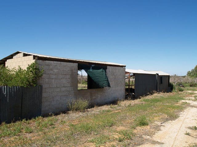 28 Armstrong Road, WAIKERIE SA 5330, Waikerie - Thumbnail 3