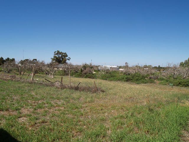28 Armstrong Road, WAIKERIE SA 5330, Waikerie - Thumbnail 5