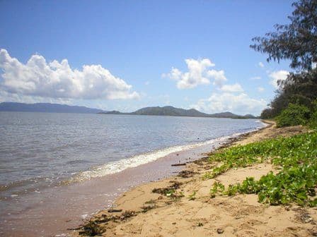 60 Goicoechea Drive, BUSHLAND BEACH QLD 4818, Bushland Beach - Thumbnail 3