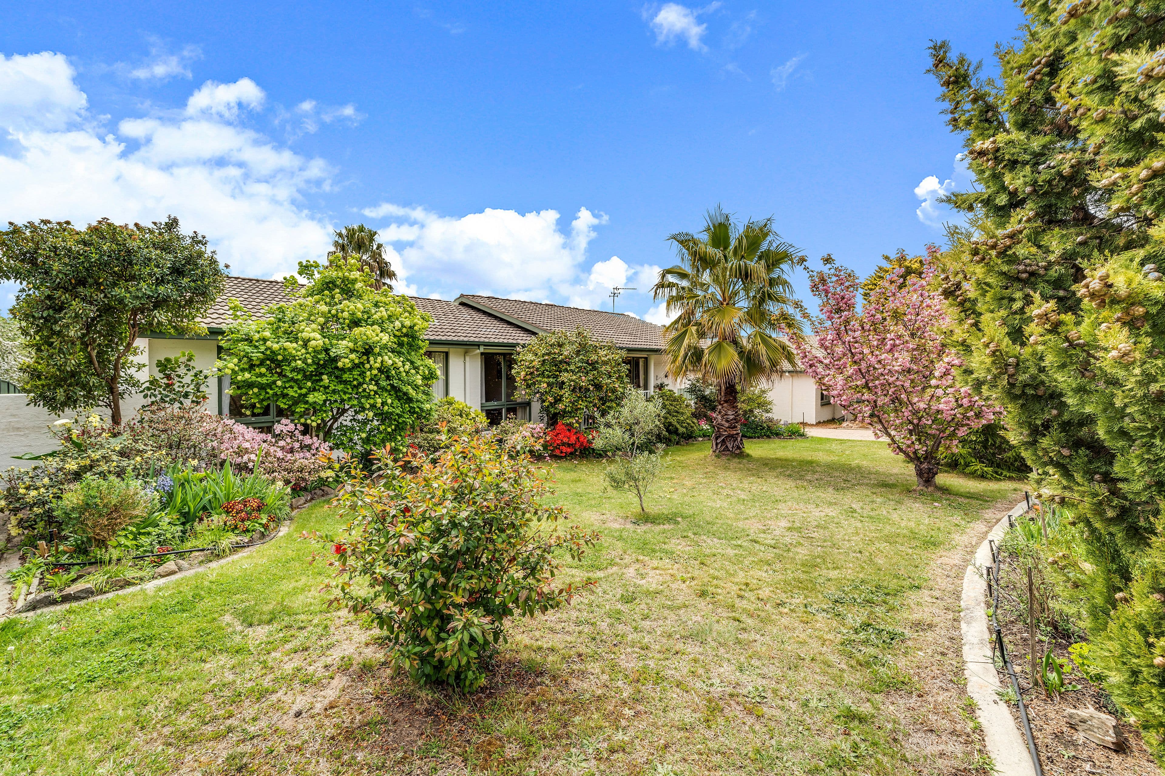 30 Somerville Street, Spence ACT 2615, Spence - Thumbnail 4