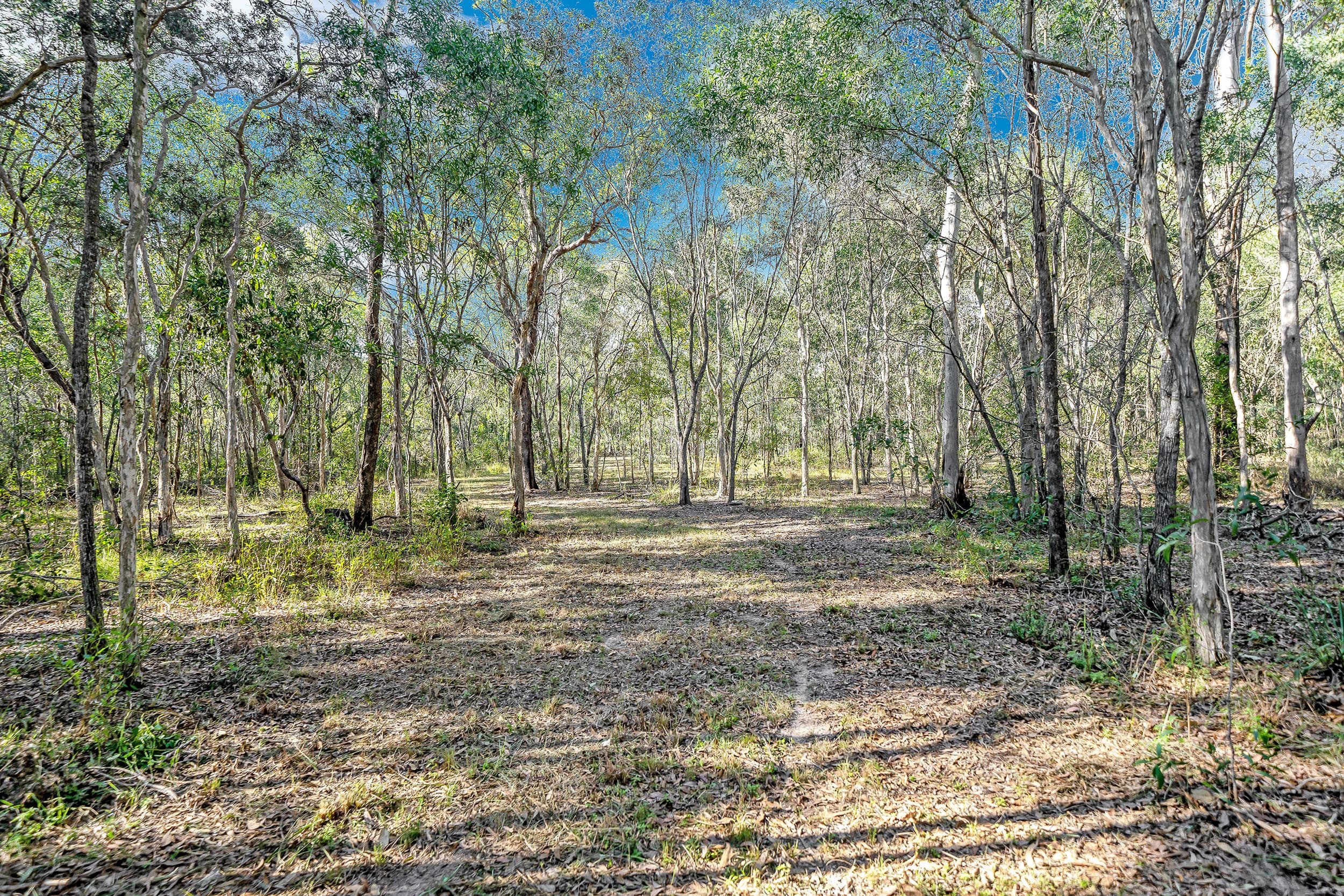 147 Ballantyne Road, Captain Creek QLD 4677, Captain Creek - Thumbnail 2