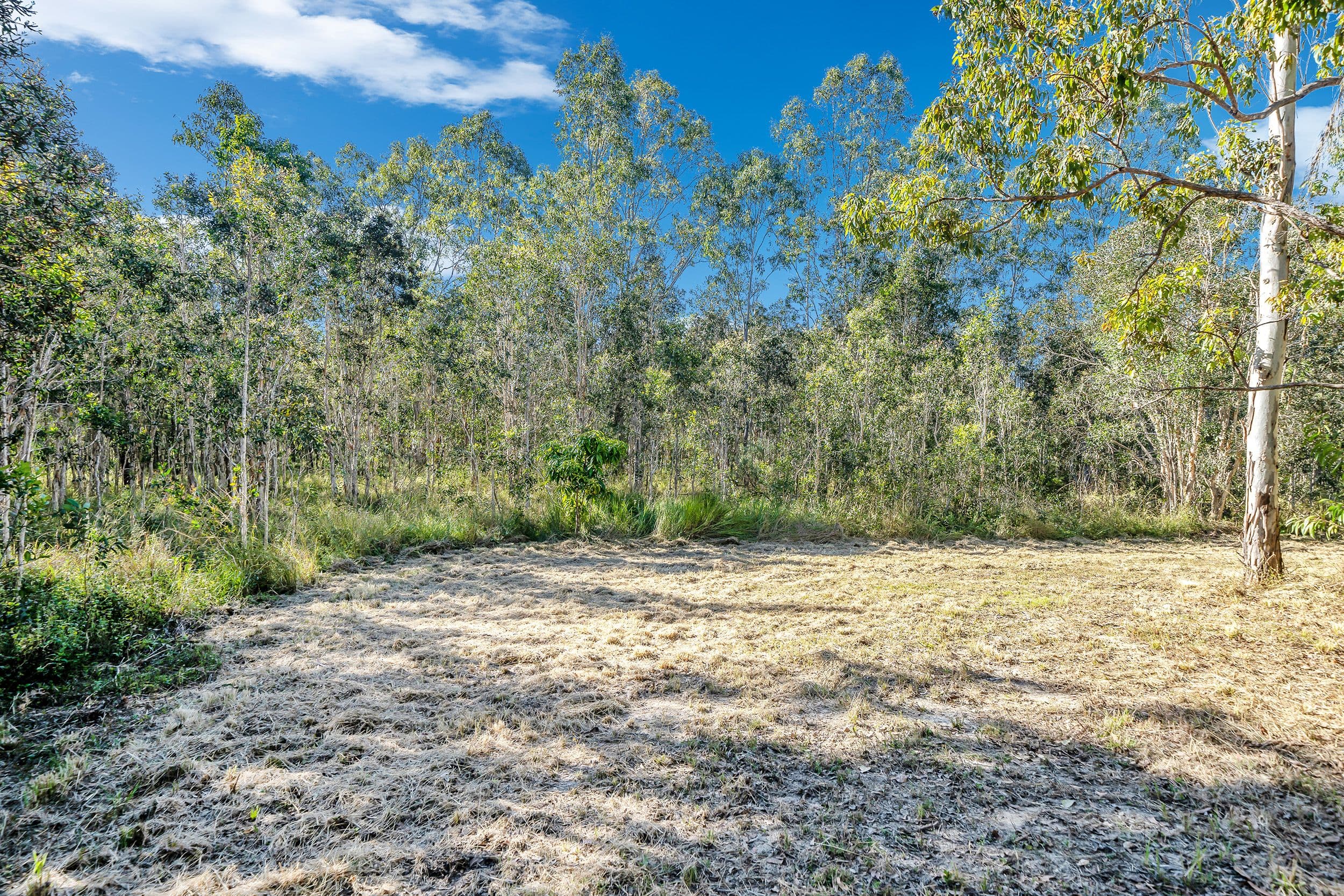 147 Ballantyne Road, Captain Creek QLD 4677, Captain Creek - Thumbnail 3