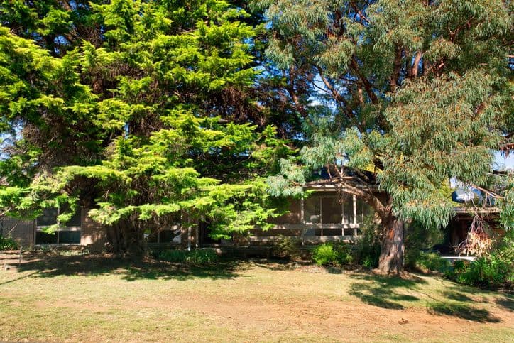 20 Churchill Drive, MOOROOLBARK VIC 3138, Mooroolbark - Thumbnail 3