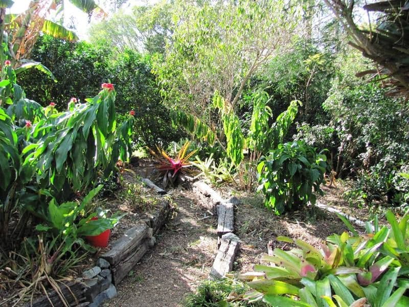 18 Grimstone Street, KEPERRA QLD 4054, Keperra - Thumbnail 4