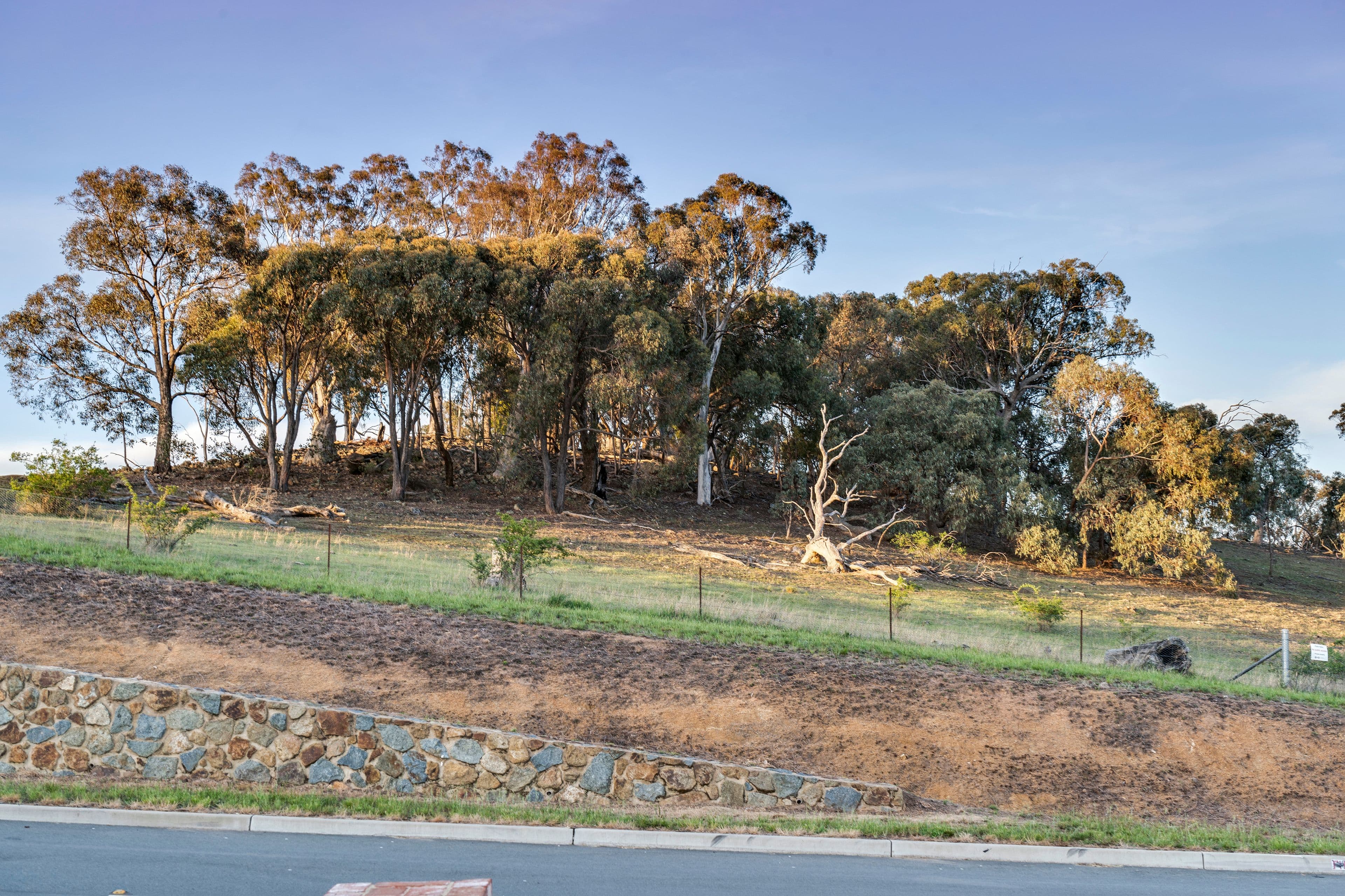 66 Mick Shann Terrace, CASEY ACT 2913, Casey - Thumbnail 4