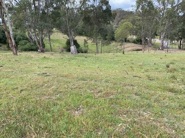 Lot 25 Wade Street, Dungog NSW 2420, Dungog - Image 1