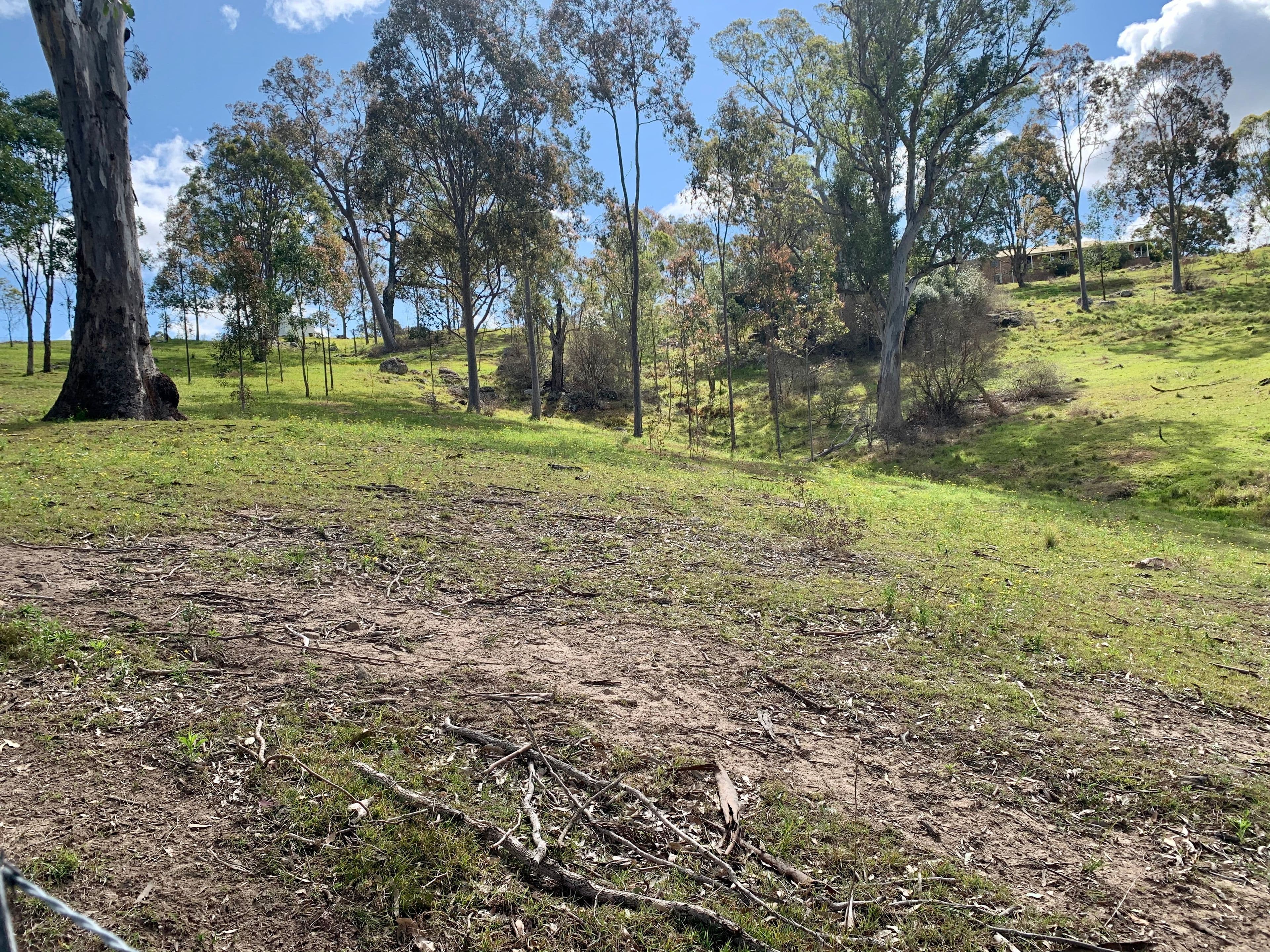 Lot 25 Wade Street, Dungog NSW 2420, Dungog - Thumbnail 2